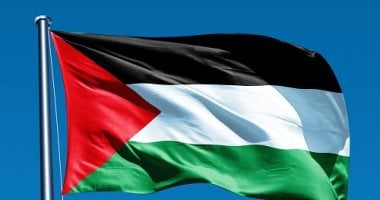 أيرلندا: اعترافنا بدولة فلسطين "لحظة تاريخية"