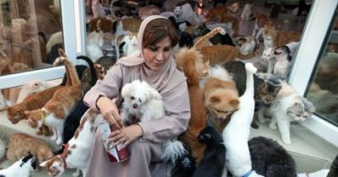 مريم البلوشى.. عمانية حولت بيتها ملجأ لـ 480 قط و 12 كلب.. ألبوم صور