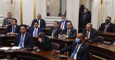 أعضاء الشيوخ يوجهون التحية للرئيس السيسى ويؤكدون: المجلس عقل الأمة