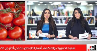 تفاصيل انخفاض أسعار الطماطم أكثر من 30% فى نشرة تليفزيون اليوم السابع.. فيديو