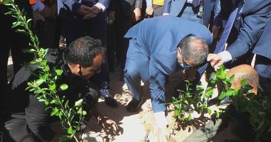 وزير القوى العاملة يشارك فى زراعة 1100 شجرة مثمرة بأسوان