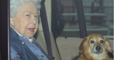 السعودية نيوز | 
                                            نفوق كلب الملكة البريطانية إليزابيث الثانية "فولكان"
                                        