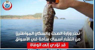 الصحة تحذر من انتشار أسماك سامة فى الأسواق تسبب الوفاة