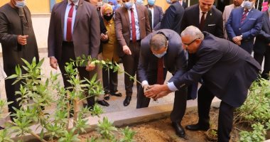 وزير القوى العاملة يزرع شجرة بجامعة الأقصر ضمن مبادرة "هنجملها".. صور