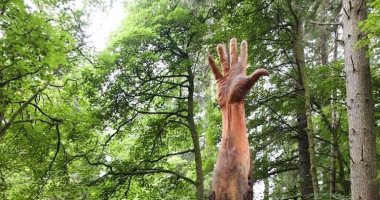 100 منحوتة عالمية.. "العملاقة" فنان يحول شجرة إلى يد 