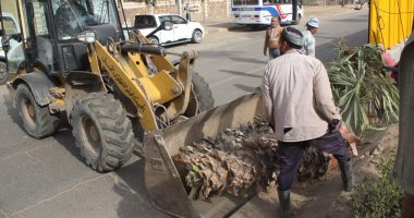 محافظة الجيزة تنفذ حملات نظافة بـ11 منطقة وترفع سيارات متهالكة بشوارع العمرانية