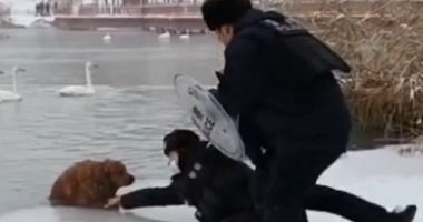 الرحمة حلوة.. ضابطان ينقذان كلبا من بحيرة متجمدة فى الصين.. فيديو وصور