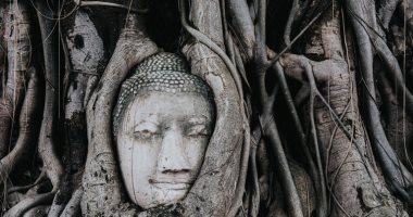 العثور على تمثال ضخم لـ"بوذا" مقطوع الرأس تحت مبانٍ سكنية فى الصين.. صور