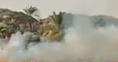 صورة الحماية المدنية تسيطر على حريق فى مزرعة نخيل بالوادى الجديد
