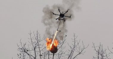 تحويل طائرة "درون" إلى قاذفة لهب للهجوم على أعشاش الدبابير بالصين.. فيديو وصور