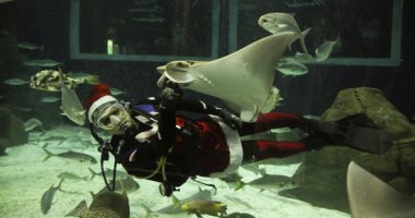 غواصة عيد الميلاد.. سانتا كلوز يلعب مع الكائنات البحرية في الأعماق.. ألبوم صور