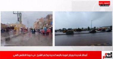 نوة قاسم تضرب الإسكندرية وأمطار شديدة على كفر الشيخ .. فيديو لايف