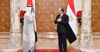 متحدث الرئاسة: تنسيق بين مصر والإمارات فى الملف الليبى