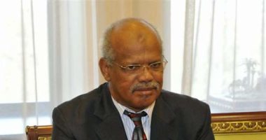 سفير السودان بالقاهرة: ننظر بعين الافتخار لما حدث بمصر من تنمية بقيادة الرئيس السيسى