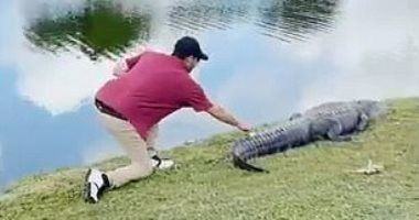 مشهد يحبس الأنفاس.. لاعب جولف يلتقط كرة من جانب تمساح فى فلوريدا.. فيديو