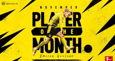 هالاند يحصد جائزة لاعب شهر نوفمبر في الدوري الألماني.. فيديو