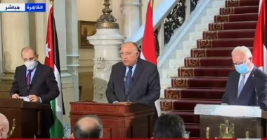 وزير الخارجية: مشاورات مع الأردن وفلسطين لكسر الجمود فى عملية السلام 