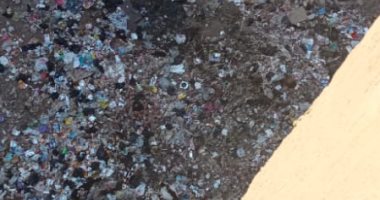 محافظ القليوبية يستجيب لشكوى انتشار القمامة في منطقة الأمير بالخصوص