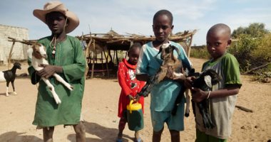 الفيضانات والجفاف أشباح تطارد الثروة الحيوانية فى السنغال .. ألبوم صور