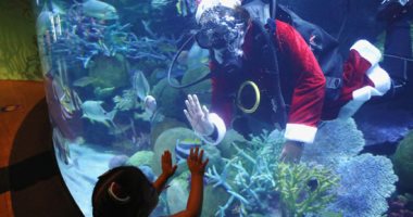 البهجة من تحت الماء.. بابا نويل يقدم هدايا للأسماك ويداعب زوار "أكواريوم بانكوك"