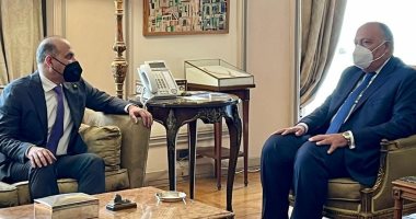 وزير الخارجية يبحث مع رئيس تيار الغد سبل حل الأزمة السورية 