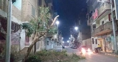 رئيس مدينة قنا: تقليم الأشجار المسببة خطورة للمواطنين وتحجب إضاءة الكشافات