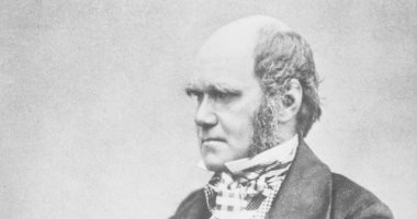 كواليس إعداد تشارلز داروين لكشف نظريته ونشر كتابه أصل الأنواع