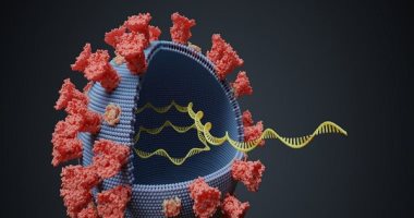 حصاد 2020.. 9 حقائق عن فيروس كورونا عرفها العلماء خلال عام