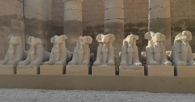 شاهد تماثيل كباش الكرنك قبل افتتاح وزير الآثار والسياحة مشروع انقاذ 29 تمثال 