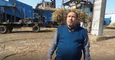 رصد بدء موسم إنتاج السكر من القصب داخل مصنع كوم أمبو.. فيديو