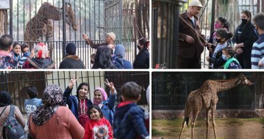 حديقة الحيوان: 70 ألف زائر يوميًا والاستمتاع بوسائل الترفيه الجديدة