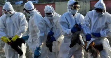 انتشار أنفلونزا الطيور فى إسبانيا يسبب حالة من الهلع