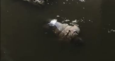 مناظرة جثة شاب عثر على جثته فى نهر النيل بالصف