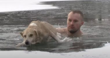 صحفى ينقذ كلب من الغرق فى بحيرة متجمدة بروسيا .. فيديو