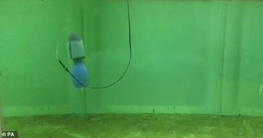 روبوت مستوحى من قنديل البحر يحاكى حركته عبر الماء 