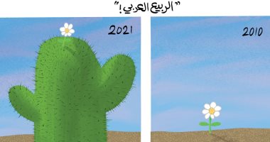 كاريكاتير صحيفة إماراتية.. ورود الربيع العربى تحولت إلى صبار