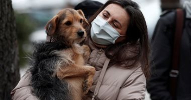 دراسة: الكلاب الأليفة لا تنقل فيروس كورونا
