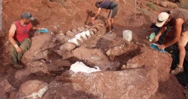 أضخم كائن على الإطلاق.. الأرجنتين تعثر على عظام أكبر ديناصور فى العالم