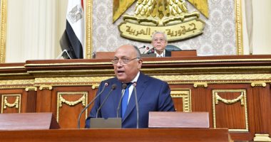 صور.. وزير الخارجية يؤكد استقرار العلاقات المصرية - الأمريكية 
