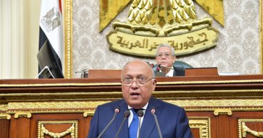 وزير الخارجية يوضح سياسة مصر خارجيا أمام مجلس النواب.. ألبوم صور