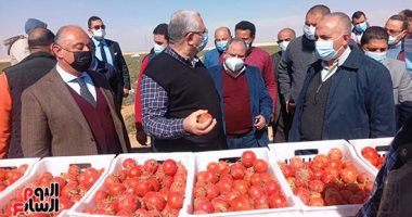 وزيرا الزراعة والرى يتفقدان مزرعة الطماطم بغرب المنيا.. صور