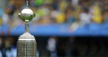 نهائي كأس ليبرتادوريس.. سيطرة برازيلية على اللقب فى آخر 10 سنوات
