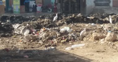 شكوى من تراكم القمامة فى طرقات قرية صندفا بمحافظة المنيا.. ورئيس المدينة يرد