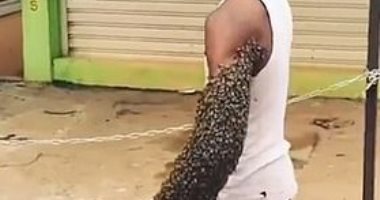 ماسك الملكة بإيده.. النحل يغطى ذراع عامل فى الدومينيكان دون لدغه.. فيديو وصور
