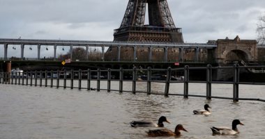 برج إيفل تحت الحصار.. الفيضانات تجتاح نهر السين وتهدد باريس بالغرق