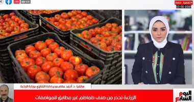 تفاصيل تحذير الزراعة من صنف طماطم متداول فى تغطية تليفزيون اليوم السابع