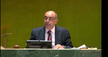 سفير مصر لدى الأمم المتحدة: قضية فلسطين هى قضية مصر والعرب
