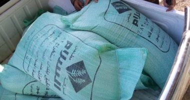 ضبط 2 طن و250 كيلو أرز وسكر بدون فواتير في حملة تموينية بقنا
