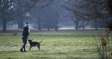 بريطانية تروى تفاصيل سرقة كلابها في ظل ارتفاع أسعارها بسبب كورونا