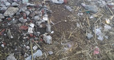 شكوى من انتشار القمامة بقرية اودهباشا بالمنيا.. رئيس المدينة تستجيب"صور"
